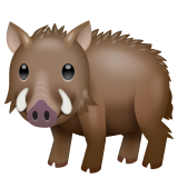 wildboar